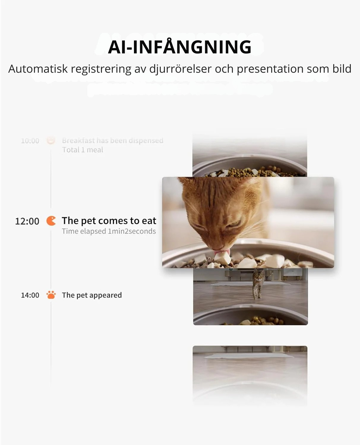 Automatisk foderautomat med dubbel behållare och kamera